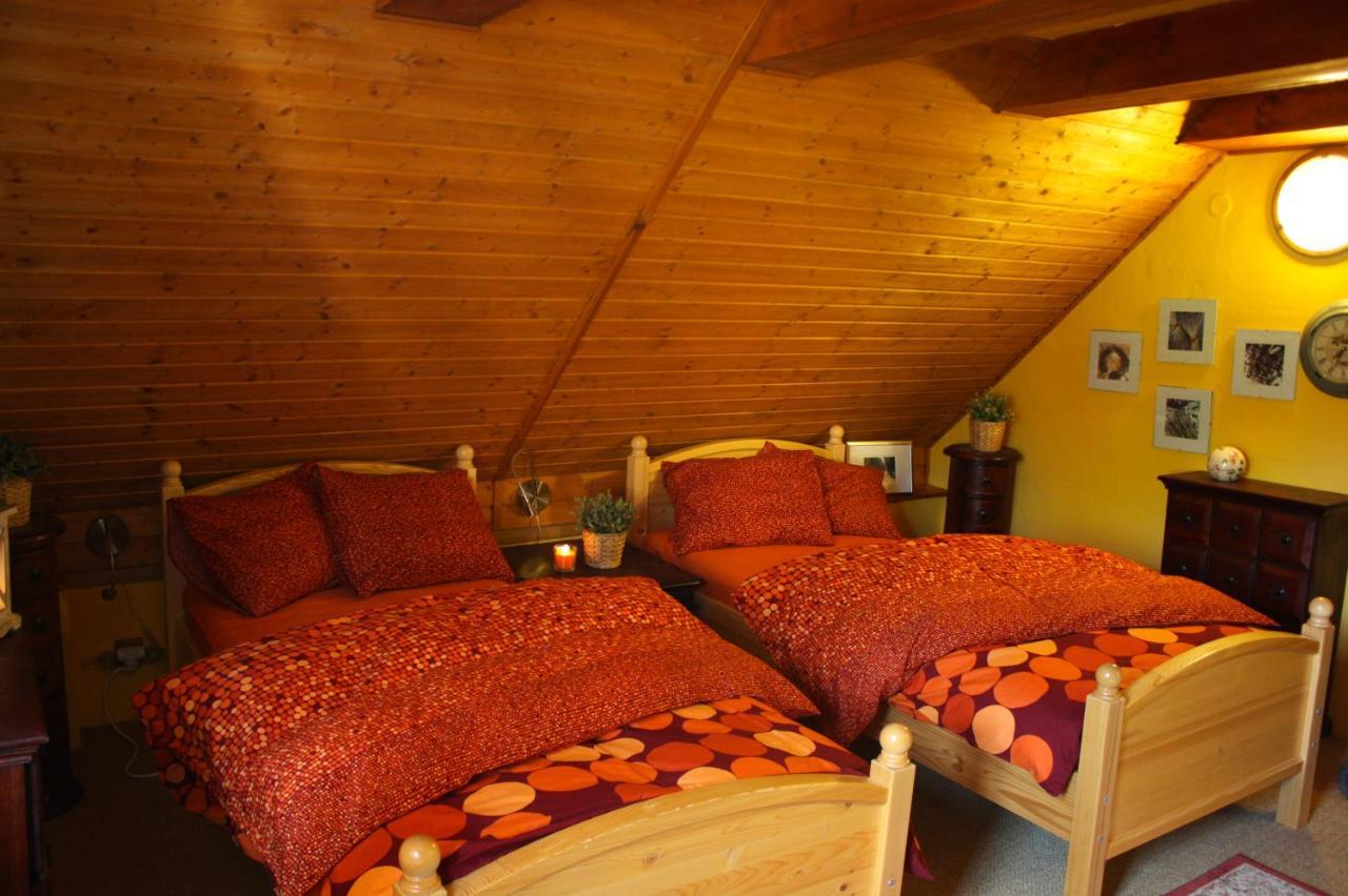 Apartmany U Kaplicky Kamyk nad Vltavou Bagian luar foto